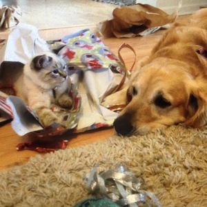 Meet your Posher, Grace